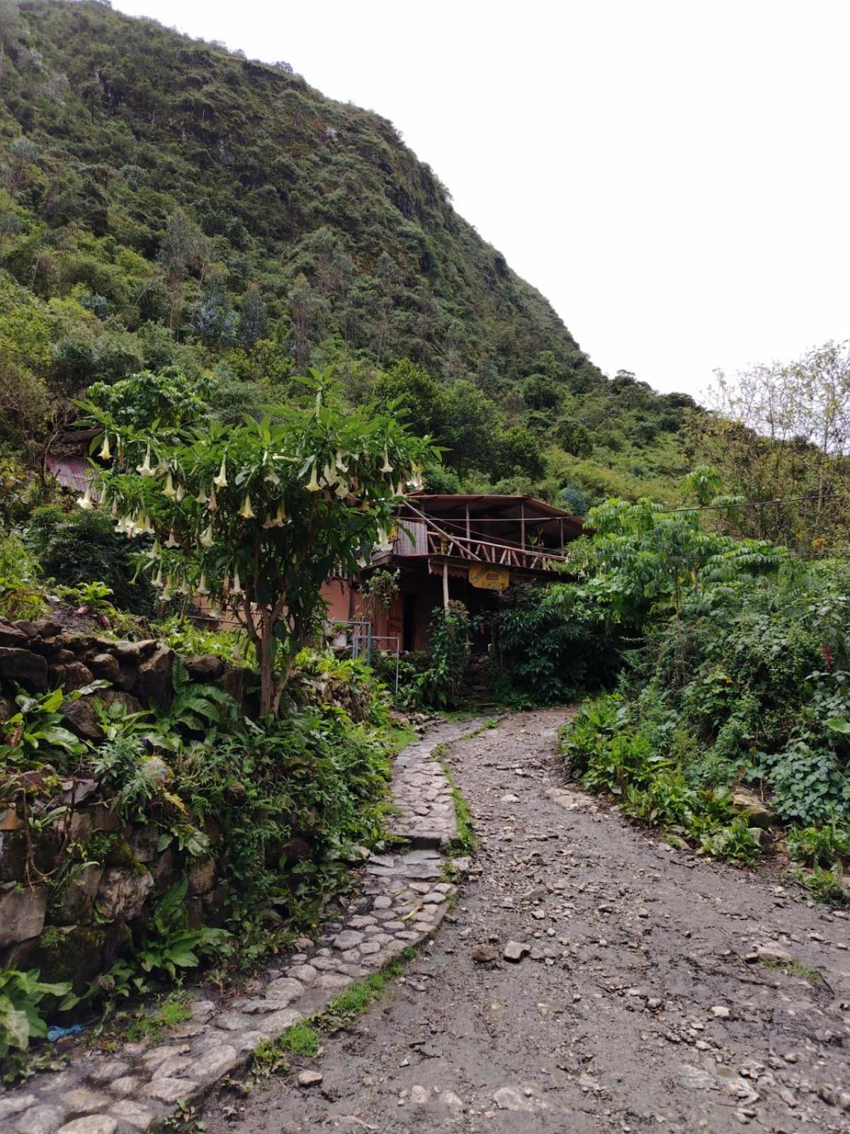Hostel Samana Wasi Chaullay Cusco Luaran gambar